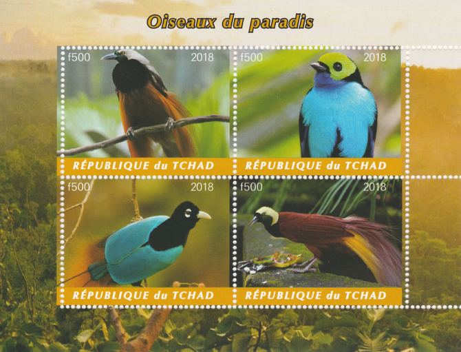 Chad 2018 Birds of Paradise perf sheetlet containing 4 values unmounted mint. Note this item is privately produced and is offered purely on its thematic appeal, it has no postal validity, stamps on , stamps on  stamps on birds, stamps on  stamps on birds of paradise