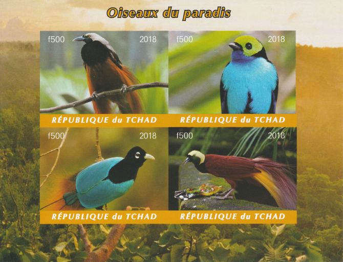 Chad 2018 Birds of Paradise imperf sheetlet containing 4 values unmounted mint. Note this item is privately produced and is offered purely on its thematic appeal, it has no postal validity, stamps on , stamps on  stamps on birds, stamps on  stamps on birds of paradise