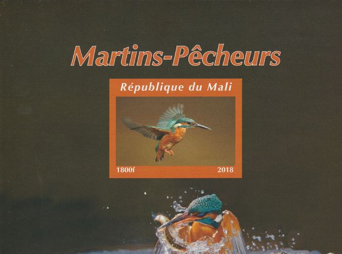 Mali 2018 Kingfishers #1 imperf souvenir sheet unmounted mint. Note this item is privately produced and is offered purely on its thematic appeal. , stamps on , stamps on  stamps on bubirds, stamps on  stamps on kingfishers
