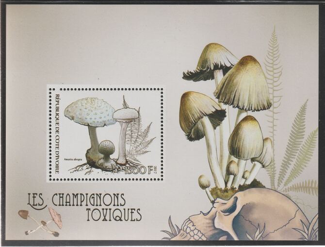 Ivory Coast 2017 Mushrooms perf m/sheet #1 containing one value unmounted mint, stamps on , stamps on  stamps on fungi