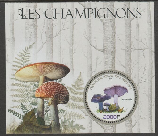 Benin 2015 Fungi perf deluxe m/sheet containing one circular value unmounted mint, stamps on shape, stamps on fungi