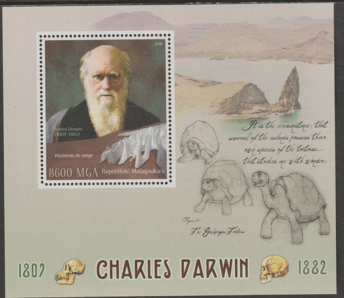 Madagascar 2016 Charles Darwin perf m/sheet containing one value unmounted mint, stamps on personalities, stamps on darwin, stamps on turtles