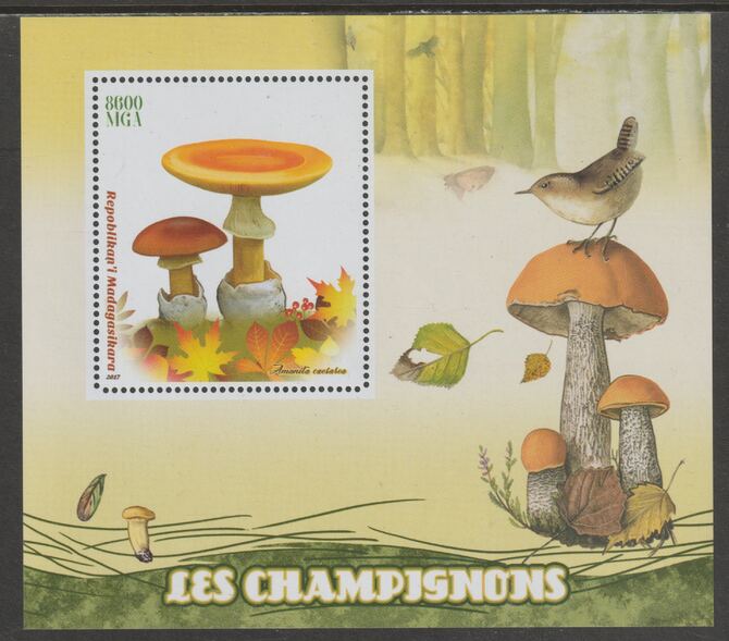 Madagascar 2017 Fungi perf m/sheet containing one value unmounted mint, stamps on , stamps on  stamps on fungi