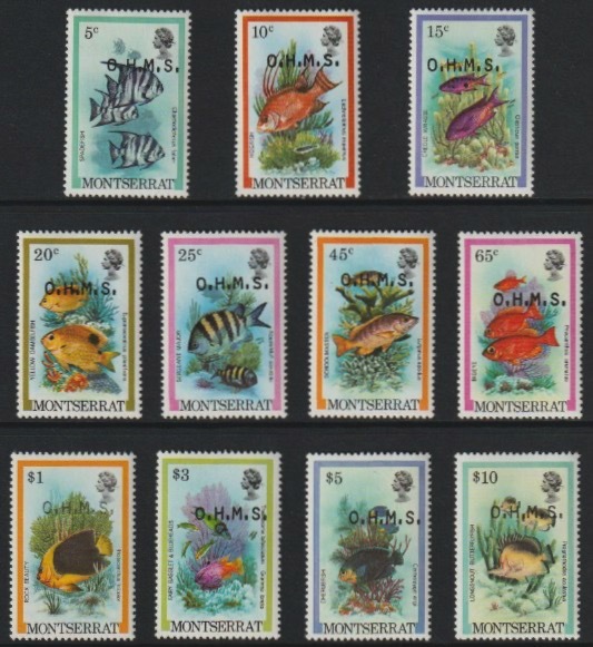 Montserrat 1981 Fish - Officials the set of 11 values opt's OHMS unmounted mint SG O42-O52, stamps on , stamps on  stamps on fish
