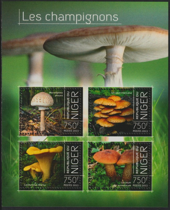 Niger Republic 2013 Fungi perf sheet containing 4 values unmounted mint, stamps on fungi