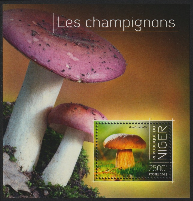 Niger Republic 2013 Fungi perf m/sheet containing 1 value unmounted mint, stamps on , stamps on  stamps on fungi