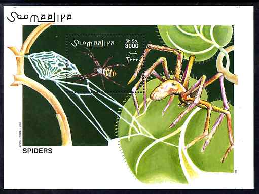 Somalia 2002 Spiders perf m/sheet unmounted mint. Note this item is privately produced and is offered purely on its thematic appeal Michel BL 98, stamps on spiders, stamps on insects