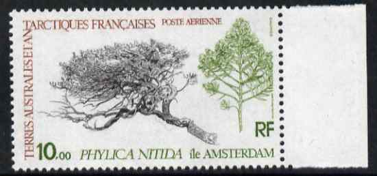 French Southern & Antarctic Territories 1980 Phylica nitida 10f unmounted mint SG 147, stamps on polar, stamps on flowers, stamps on plants