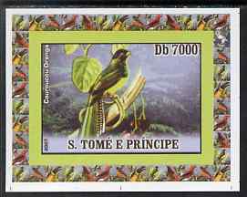 St Thomas & Prince Islands 2007 Birds #1 - Trogon imperf individual deluxe sheet unmounted mint. Note this item is privately produced and is offered purely on its themati..., stamps on birds