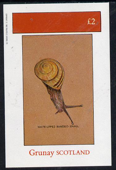 Grunay 1982 Snails (Banded Snail) imperf deluxe sheet (£2 value) unmounted mint, stamps on shells