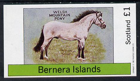 Bernera 1982 Ponies (Welsh Mountain Pony) imperf souvenir sheet (£1 value) unmounted mint, stamps on animals    horses