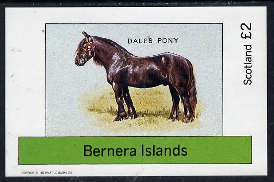 Bernera 1982 Ponies (Dales Pony) imperf deluxe sheet (£2 value) unmounted mint, stamps on animals    horses