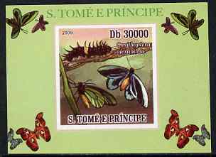 St Thomas & Prince Islands 2009 Butterflies #2 individual imperf deluxe sheet unmounted mint. Note this item is privately produced and is offered purely on its thematic appeal, stamps on , stamps on  stamps on butterflies