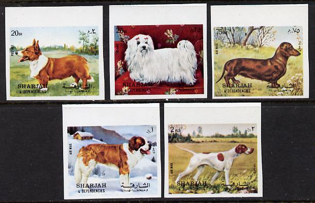 Sharjah 1972 Dogs imperf set of 5 unmounted mint (Mi 1024-28B) , stamps on , stamps on  stamps on animals    dogs    corgi   bernard   pointer   dachshund   maltese-terrier
