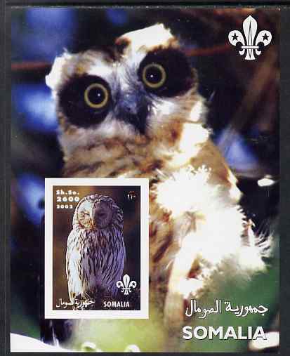 Somalia 2002 Owls #2 imperf s/sheet with Scouts Logo, unmounted mint. Note this item is privately produced and is offered purely on its thematic appeal, stamps on , stamps on  stamps on birds, stamps on  stamps on birds of prey, stamps on  stamps on scouts, stamps on  stamps on owls