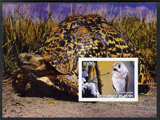 Benin 2004 Owls & Tortoises imperf s/sheet #2 unmounted mint. Note this item is privately produced and is offered purely on its thematic appeal, stamps on birds, stamps on birds of prey, stamps on owls, stamps on tortoises, stamps on animals, stamps on reptiles