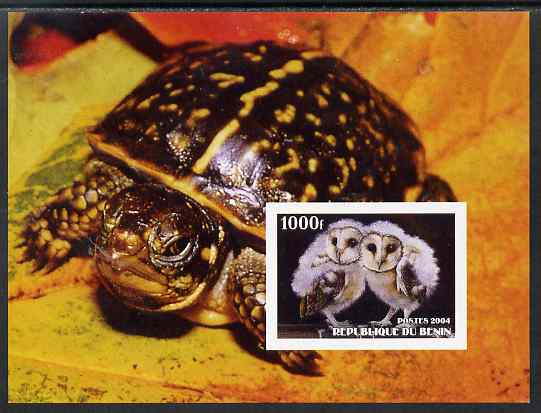 Benin 2004 Owls & Tortoises imperf s/sheet #3 unmounted mint. Note this item is privately produced and is offered purely on its thematic appeal, stamps on , stamps on  stamps on birds, stamps on  stamps on birds of prey, stamps on  stamps on owls, stamps on  stamps on tortoises, stamps on  stamps on animals, stamps on  stamps on reptiles