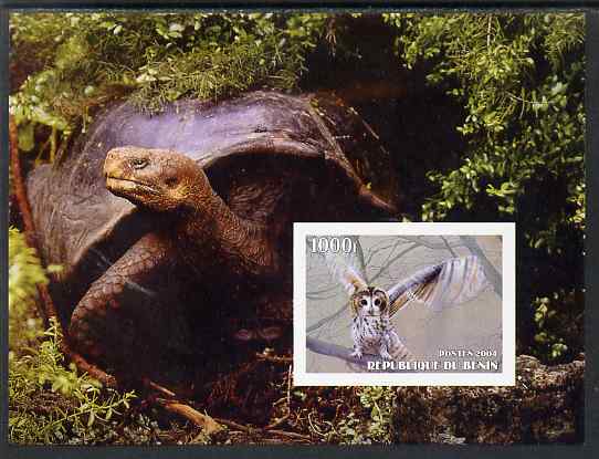 Benin 2004 Owls & Tortoises imperf s/sheet #4 unmounted mint, stamps on , stamps on  stamps on birds, stamps on  stamps on birds of prey, stamps on  stamps on owls, stamps on  stamps on tortoises, stamps on  stamps on animals, stamps on  stamps on reptiles