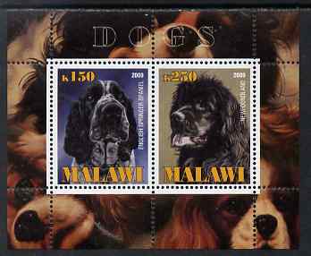 Malawi 2009 Dogs #1 perf sheetlet containing 2 values (English Springer Spaniel & Newfoundland) unmounted mint, stamps on , stamps on  stamps on dogs