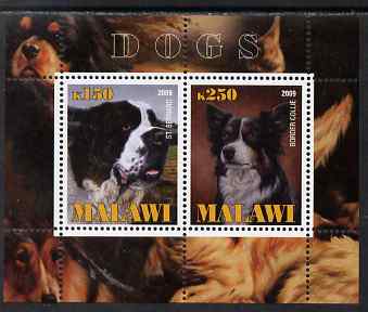 Malawi 2009 Dogs #2 perf sheetlet containing 2 values (St Bernard & Border Collie) unmounted mint, stamps on , stamps on  stamps on dogs