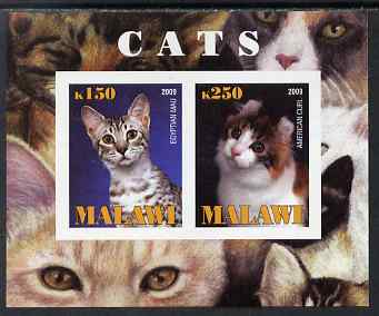 Malawi 2009 Cats #1 imperf sheetlet containing 2 values (Egyptian Mau & American Curl) unmounted mint, stamps on , stamps on  stamps on cats