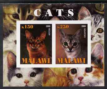 Malawi 2009 Cats #3 imperf sheetlet containing 2 values (Abyssin & Singapore) unmounted mint, stamps on , stamps on  stamps on cats