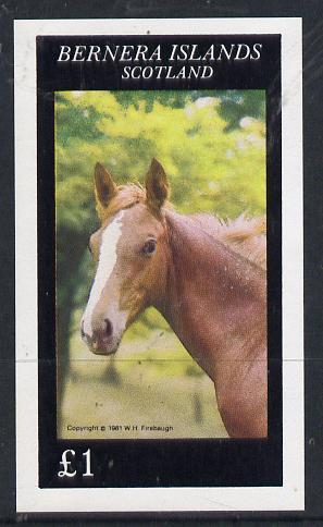 Bernera 1981 Horses imperf souvenir sheet (£1 value) unmounted mint, stamps on animals    horses