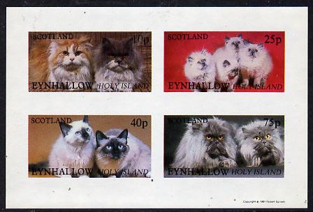 Eynhallow 1981 Cats imperf  set of 4 values (10p to 75p) unmounted mint, stamps on , stamps on  stamps on animals    cats