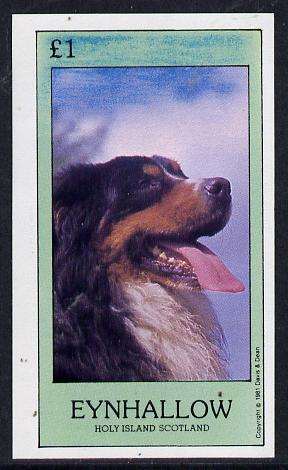 Eynhallow 1981 Dogs imperf souvenir sheet (Â£1 value) unmounted mint, stamps on , stamps on  stamps on animals    dogs      bernese