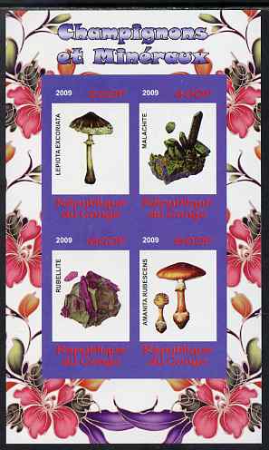 Congo 2009 Fungi & Minerals #2 imperf sheetlet containing 4 values unmounted mint, stamps on , stamps on  stamps on fungi, stamps on  stamps on minerals