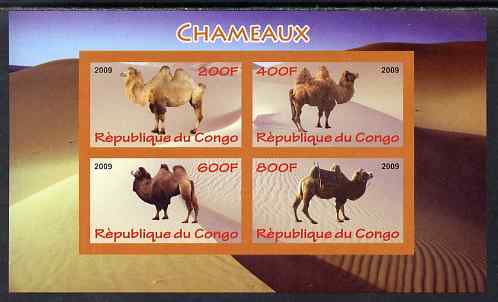 Congo 2009 Camels imperf sheetlet containing 4 values unmounted mint, stamps on animals, stamps on camels