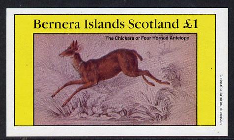 Bernera 1982 Animals (Four Horned Antelope) imperf souvenir sheet (£1 value) unmounted mint, stamps on animals, stamps on antelope