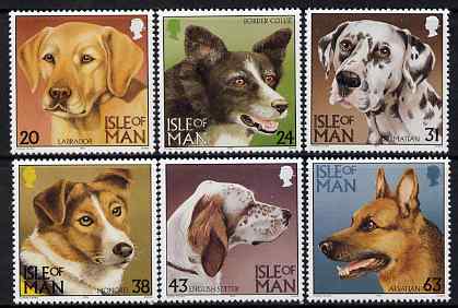 Isle of Man 1996 Dogs set of 6 unmounted mint, SG 719-24, stamps on dogs, stamps on labrador, stamps on border collie, stamps on dalmatian, stamps on english setter, stamps on alsatian, stamps on german shepherd, stamps on  gsd , stamps on mongrel