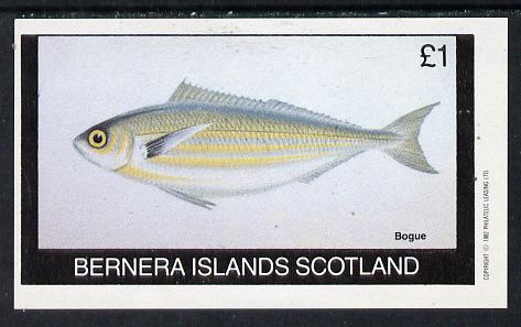 Bernera 1982 Fish (Bogue) imperf souvenir sheet (£1 value) unmounted mint, stamps on fish     marine-life