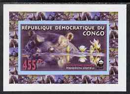Congo 2009 WWF Hippopotomus #2 individual imperf deluxe sheet unmounted mint. Note this item is privately produced and is offered purely on its thematic appeal, stamps on , stamps on  stamps on animals, stamps on  stamps on  wwf , stamps on  stamps on hippos