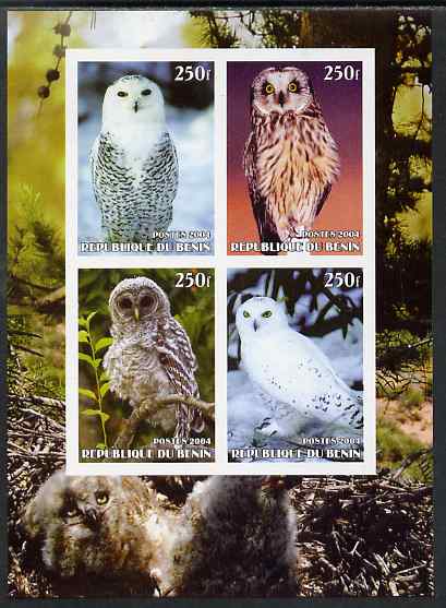 Benin 2004 Owls #1 imperf sheetlet containing 4 values unmounted mint. Note this item is privately produced and is offered purely on its thematic appeal, stamps on , stamps on  stamps on birds, stamps on  stamps on birds of prey, stamps on  stamps on owls, stamps on  stamps on 