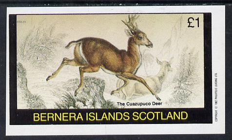 Bernera 1982 Animals (Cuazupuco Deer) imperf souvenir sheet (£1 value) unmounted mint, stamps on animals    deer