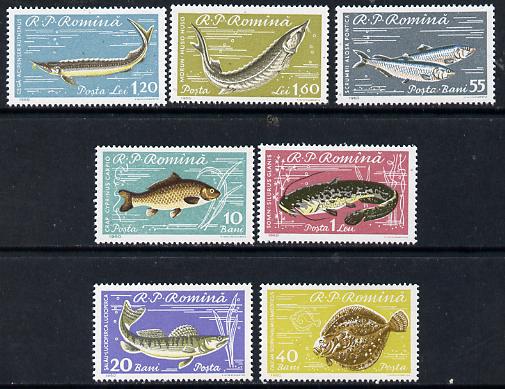 Rumania 1960 Fish perf set of 7 unmounted mint, SG 2796-2802, Mi 1927-33*, stamps on , stamps on  stamps on fish, stamps on  stamps on marine-life