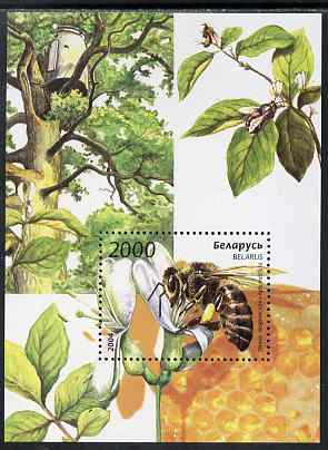 Belarus 2004 Insects perf m/sheet unmounted mint SG MS 602, stamps on , stamps on  stamps on insects, stamps on  stamps on bees, stamps on  stamps on honey, stamps on  stamps on 