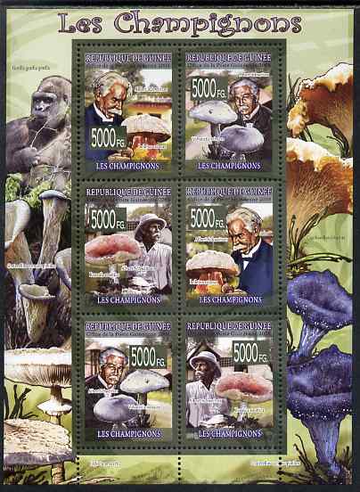 Guinea - Conakry 2009 Fungi & Albert Schweitzer perf sheetlet containing 6 values unmounted mint, stamps on , stamps on  stamps on personalities, stamps on  stamps on fungi, stamps on  stamps on peace, stamps on  stamps on nobel, stamps on  stamps on music, stamps on  stamps on religion, stamps on  stamps on apes