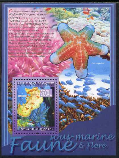 Guinea - Conakry 2009 Marine Life #2 perf s/sheet unmounted mint, stamps on , stamps on  stamps on marine life, stamps on  stamps on fish, stamps on  stamps on starfish, stamps on  stamps on coral