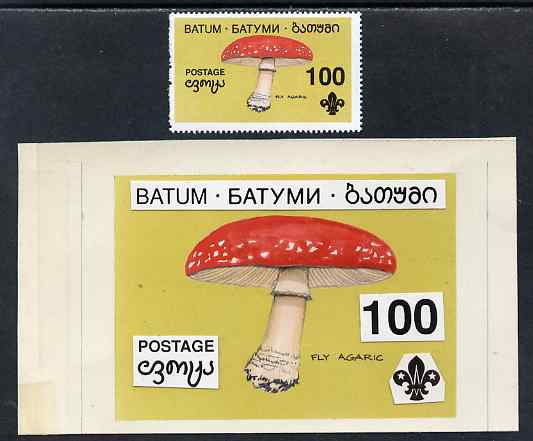 Batum 1994 Fungi - Fly Agaric 100r with Scout emblem, original hand-painted atywork on card 90 mm x 65 mm with overlay plus issued stamp. Note this item is privately produced and is offered purely on its thematic appeal, it has no postal validity, stamps on , stamps on  stamps on fungi, stamps on  stamps on scouts