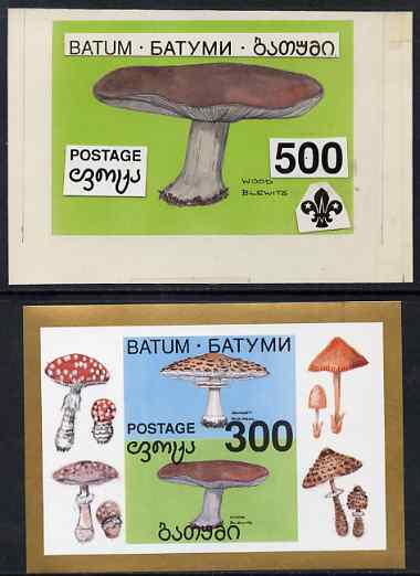 Batum 1994 Fungi - Wood Blewits with Scout emblem, original hand-painted atywork on card 90 mm x 65 mm with overlay denominated 500r but used for 300r s/sheet which is included. Note this item is privately produced and is offered purely on its thematic appeal, it has no postal validity, stamps on , stamps on  stamps on fungi, stamps on  stamps on scouts, stamps on  stamps on food