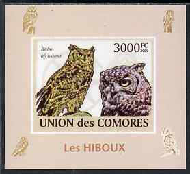 Comoro Islands 2009 Owls imperf s/sheet unmounted mint. Note this item is privately produced and is offered purely on its thematic appeal, it has no postal validity, stamps on , stamps on  stamps on birds, stamps on  stamps on birds of prey, stamps on  stamps on owls