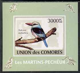 Comoro Islands 2009 Kingfisher imperf s/sheet unmounted mint. Note this item is privately produced and is offered purely on its thematic appeal, it has no postal validity, stamps on , stamps on  stamps on birds, stamps on  stamps on kingfishers