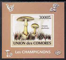 Comoro Islands 2009 Mushrooms imperf s/sheet unmounted mint. Note this item is privately produced and is offered purely on its thematic appeal, it has no postal validity, stamps on fungi