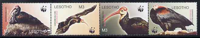 Lesotho 2004 WWF - Bald Ibis perf strip of 4 unmounted mint SG 1934-7, stamps on wwf , stamps on birds, stamps on ibis