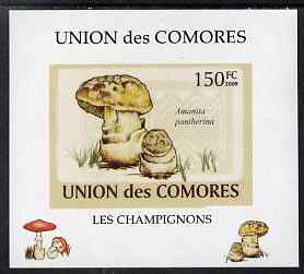 Comoro Islands 2009 Fungi #2 - 150 FC individual imperf deluxe sheet unmounted mint. Note this item is privately produced and is offered purely on its thematic appeal, it has no postal validity, stamps on , stamps on  stamps on fungi