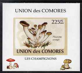 Comoro Islands 2009 Fungi #3 - 225 FC individual imperf deluxe sheet unmounted mint. Note this item is privately produced and is offered purely on its thematic appeal, it has no postal validity, stamps on fungi
