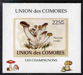 Comoro Islands 2009 Fungi #3 - 225 FC individual imperf deluxe sheet unmounted mint. Note this item is privately produced and is offered purely on its thematic appeal, it..., stamps on fungi